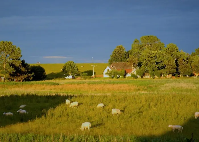 Apartment 880 In Burhave